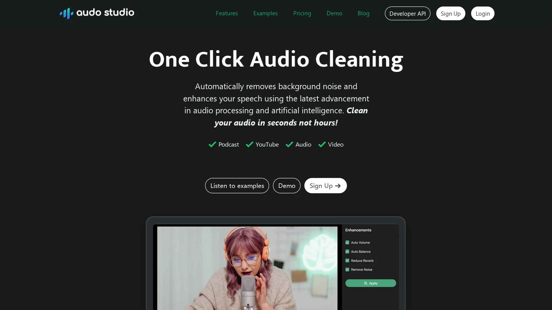 audo-ai homepage