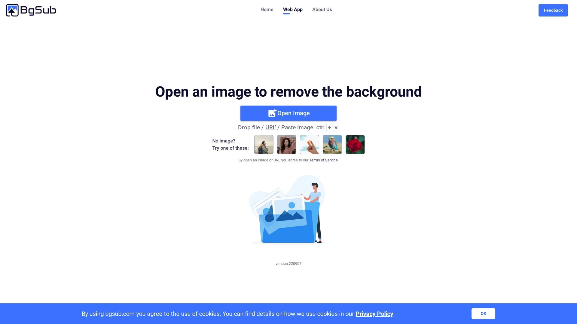 bgsub homepage