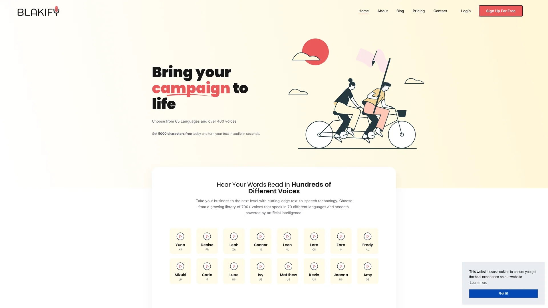 blakify homepage