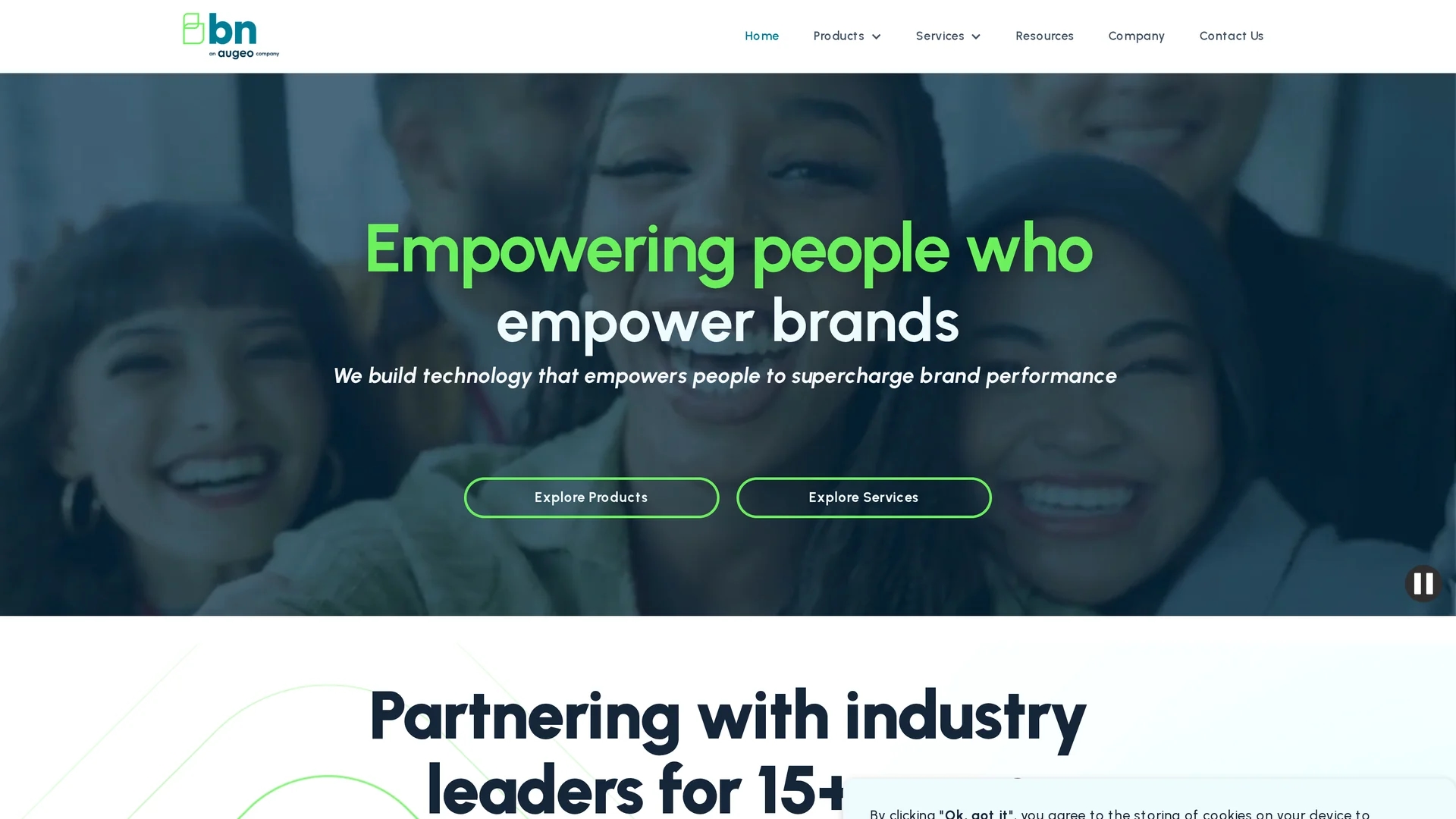 brandnetworksinc-com homepage