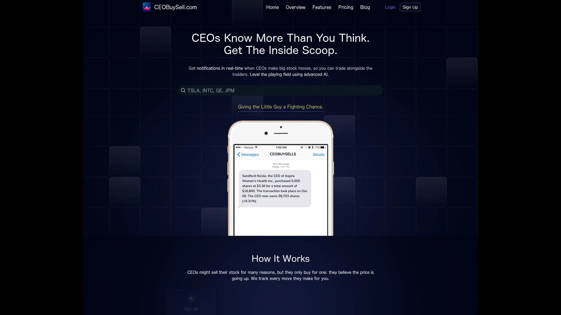 ceobuysell-com homepage