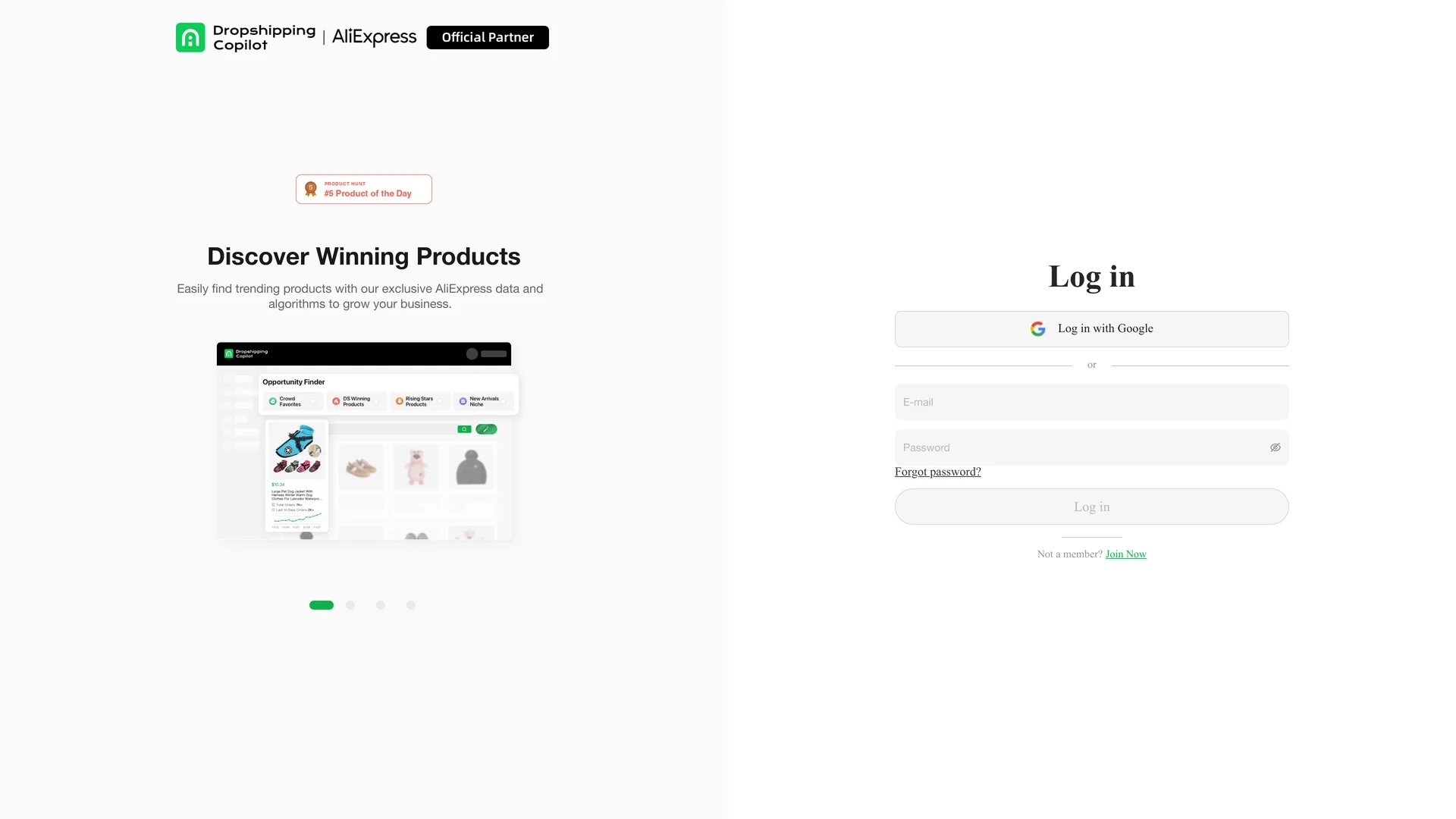 dropshipping-copilot homepage