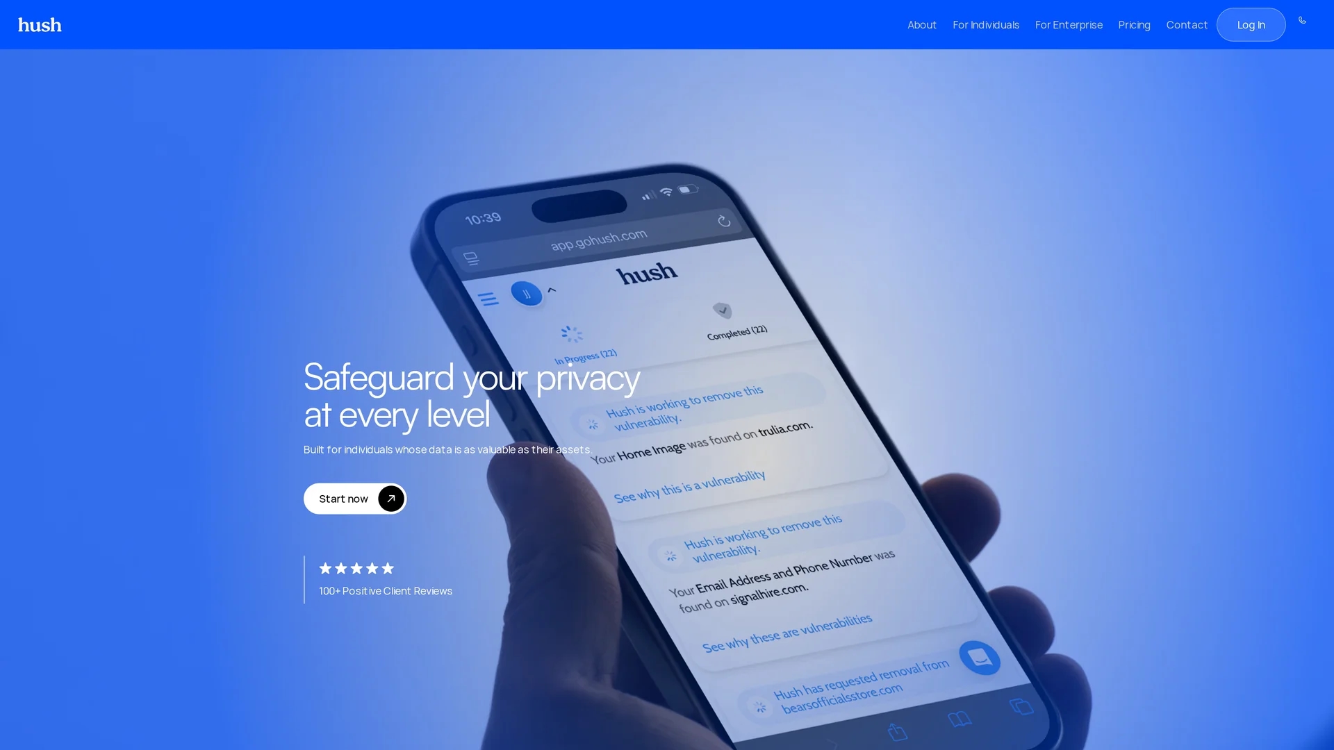 hush-privacy-ai homepage