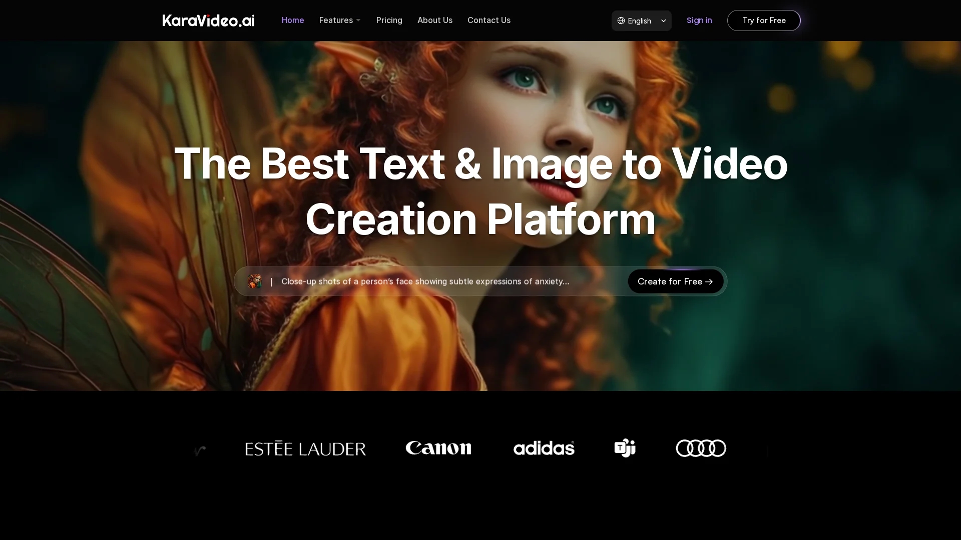 karavideo-ai homepage