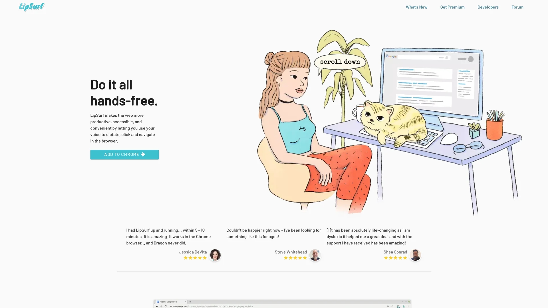 lipsurf homepage