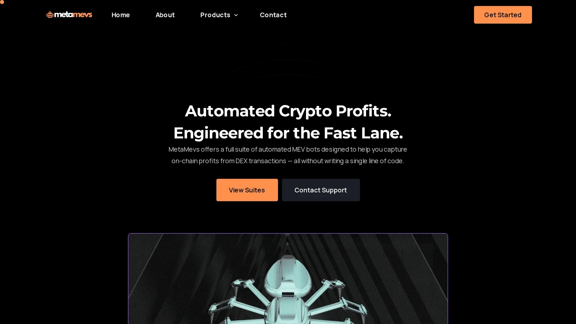 meta-mevs homepage