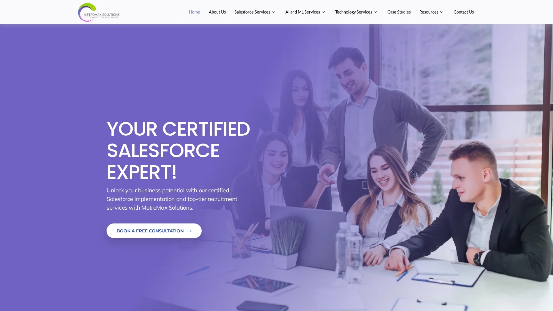 metromaxsolutions-com homepage