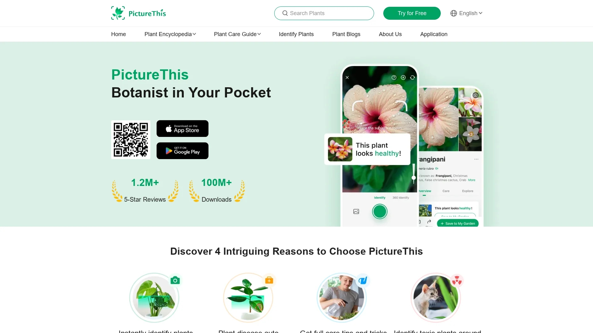 picturethis homepage