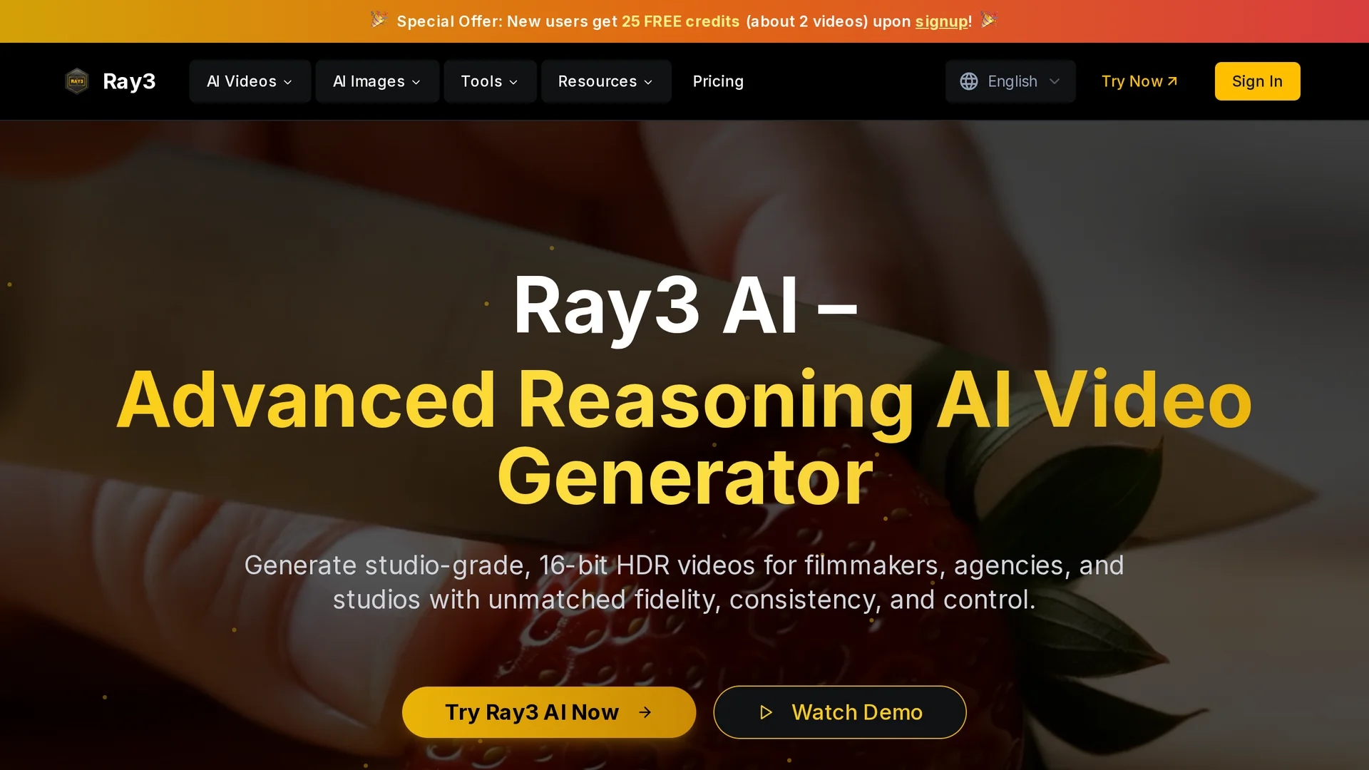 ray3 homepage