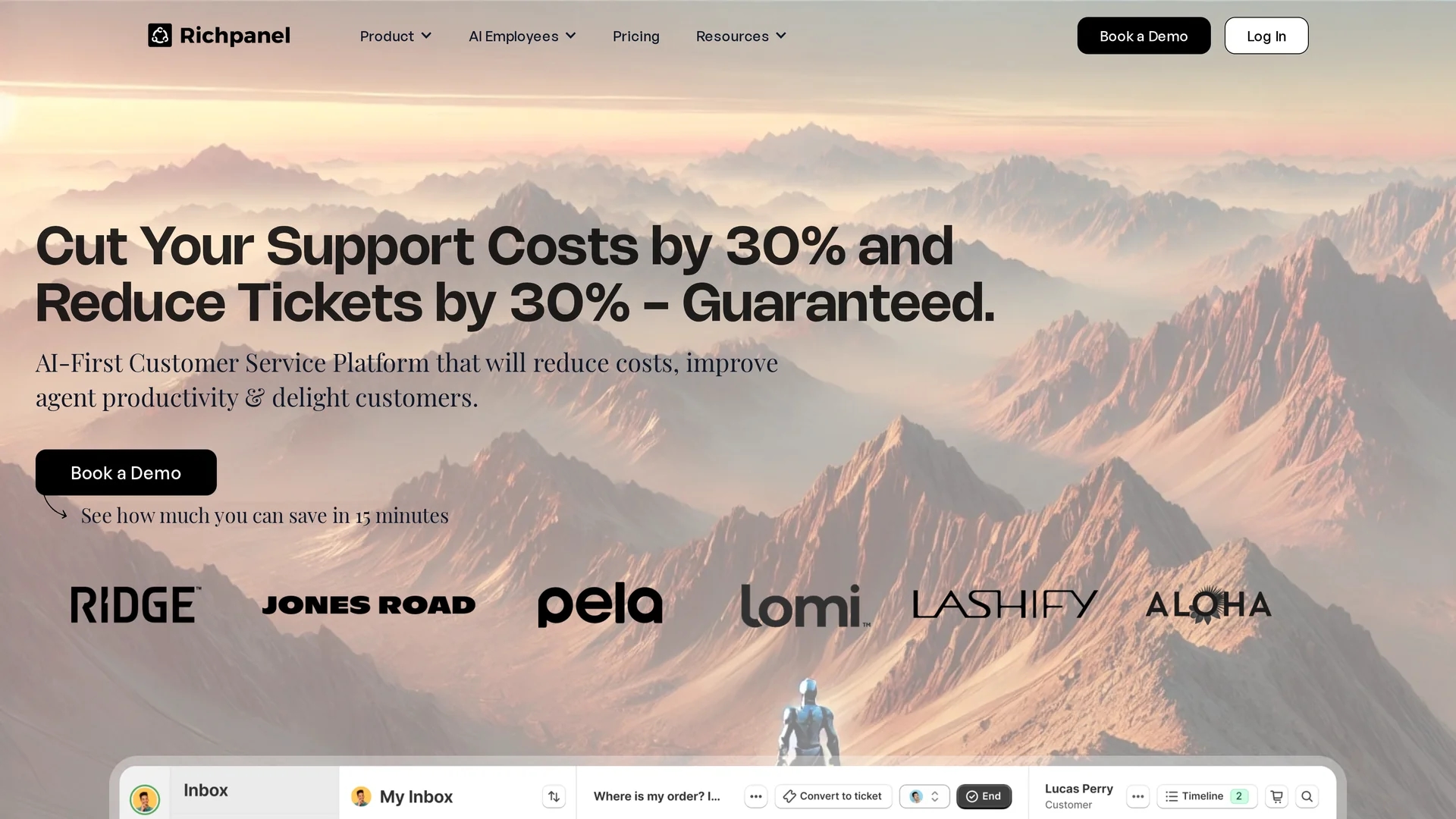 richpanel homepage