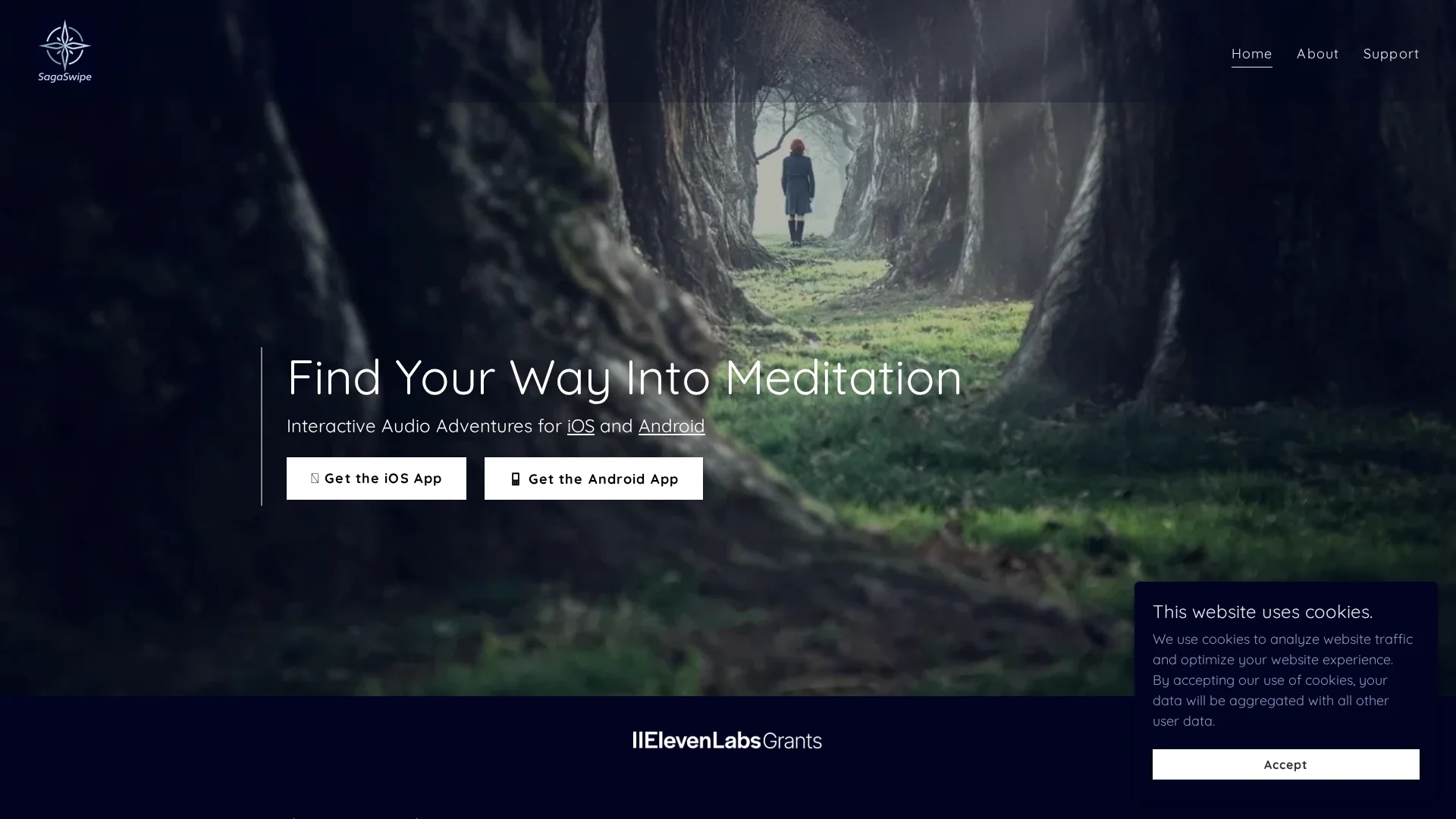 sagaswipe homepage
