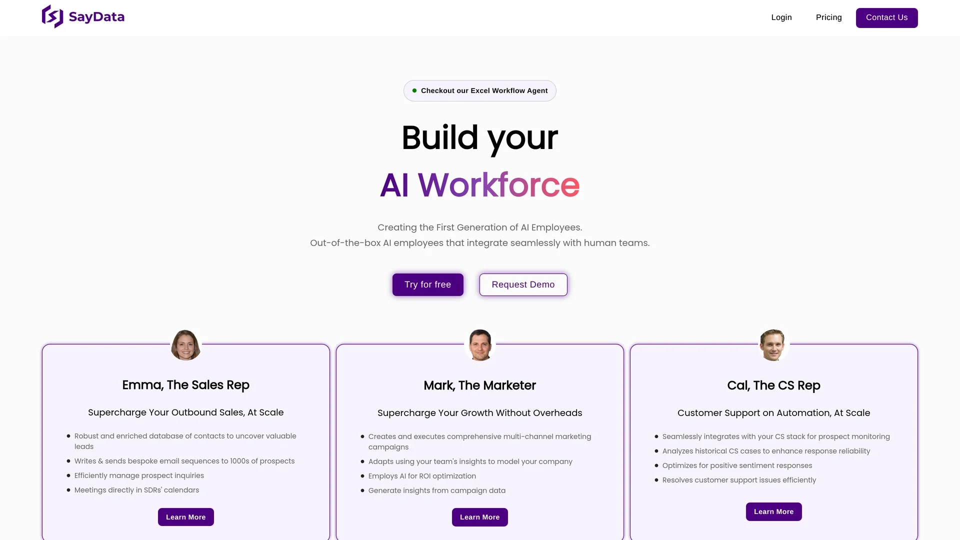 saydata homepage