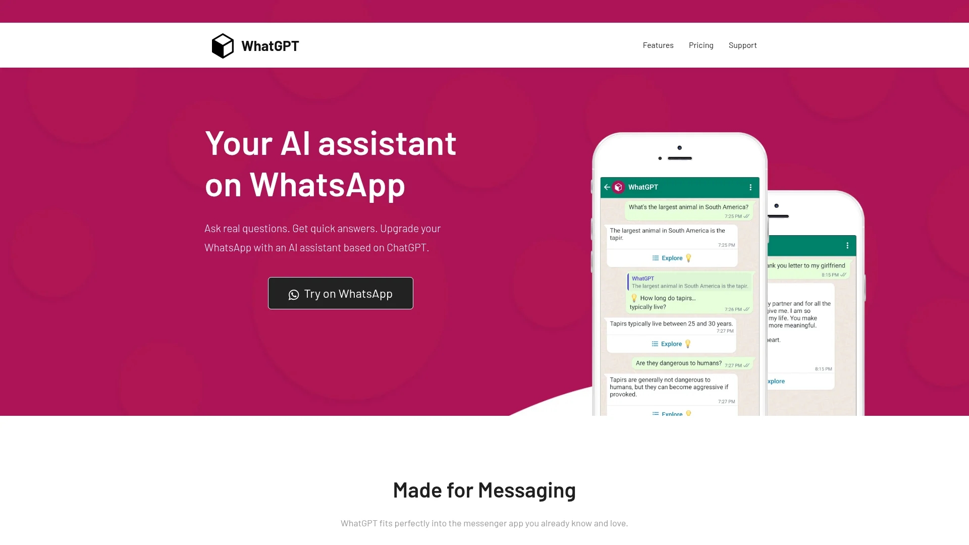 whatgpt homepage