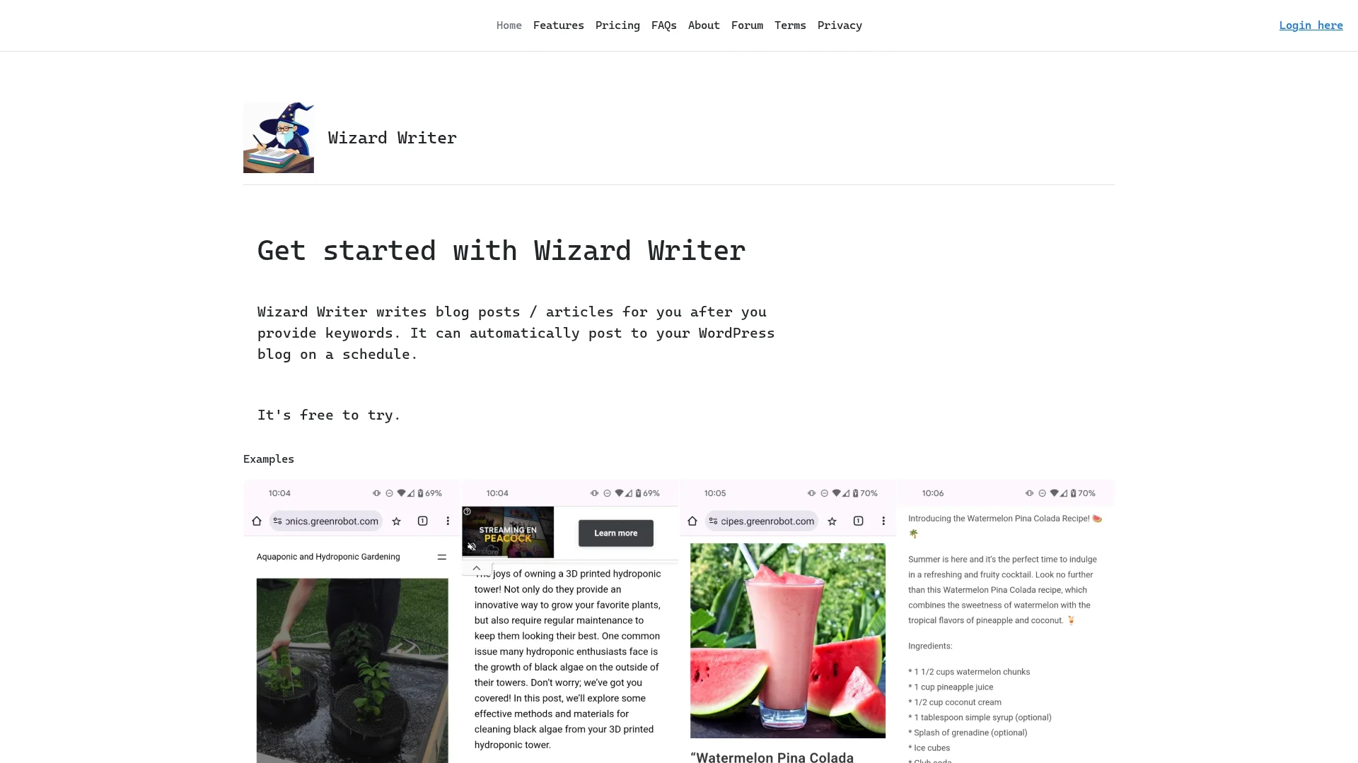 wizard-writer homepage