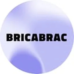 bricabrac-ai logo