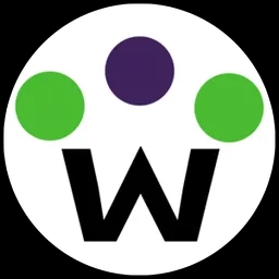 chatflow logo