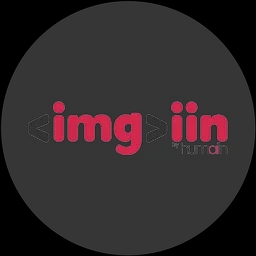 imgi-in logo