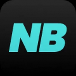 nichebay logo