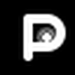 pingg logo