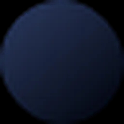 privacyai logo