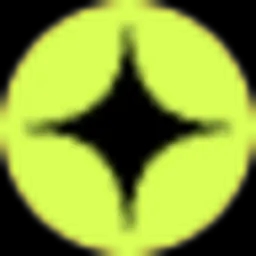 raizer logo