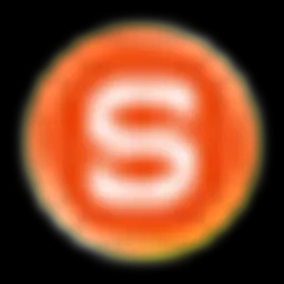 saner-ai logo