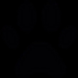 shortvideogen logo