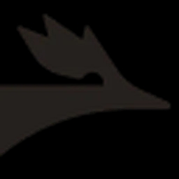 solidroad logo