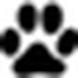 suggestcat logo