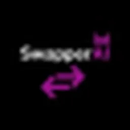 swapper-ai logo