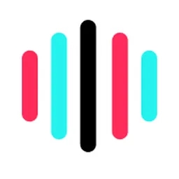 tiktok-voice-tiktokyin logo