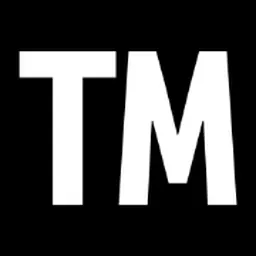 timest logo