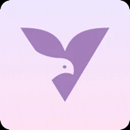 vly-ai logo