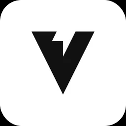 vzy logo