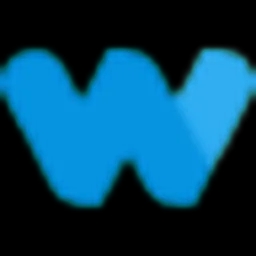 wave-video logo