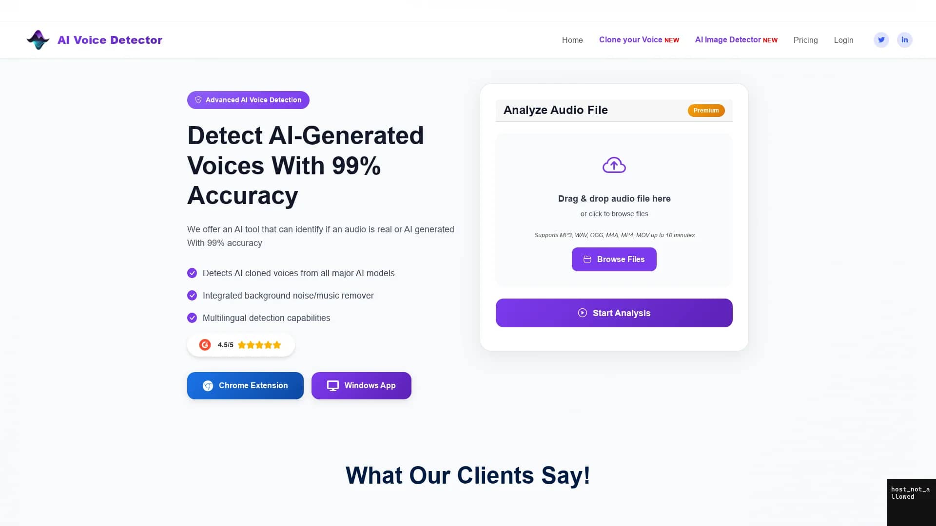 ai-voice-detector homepage