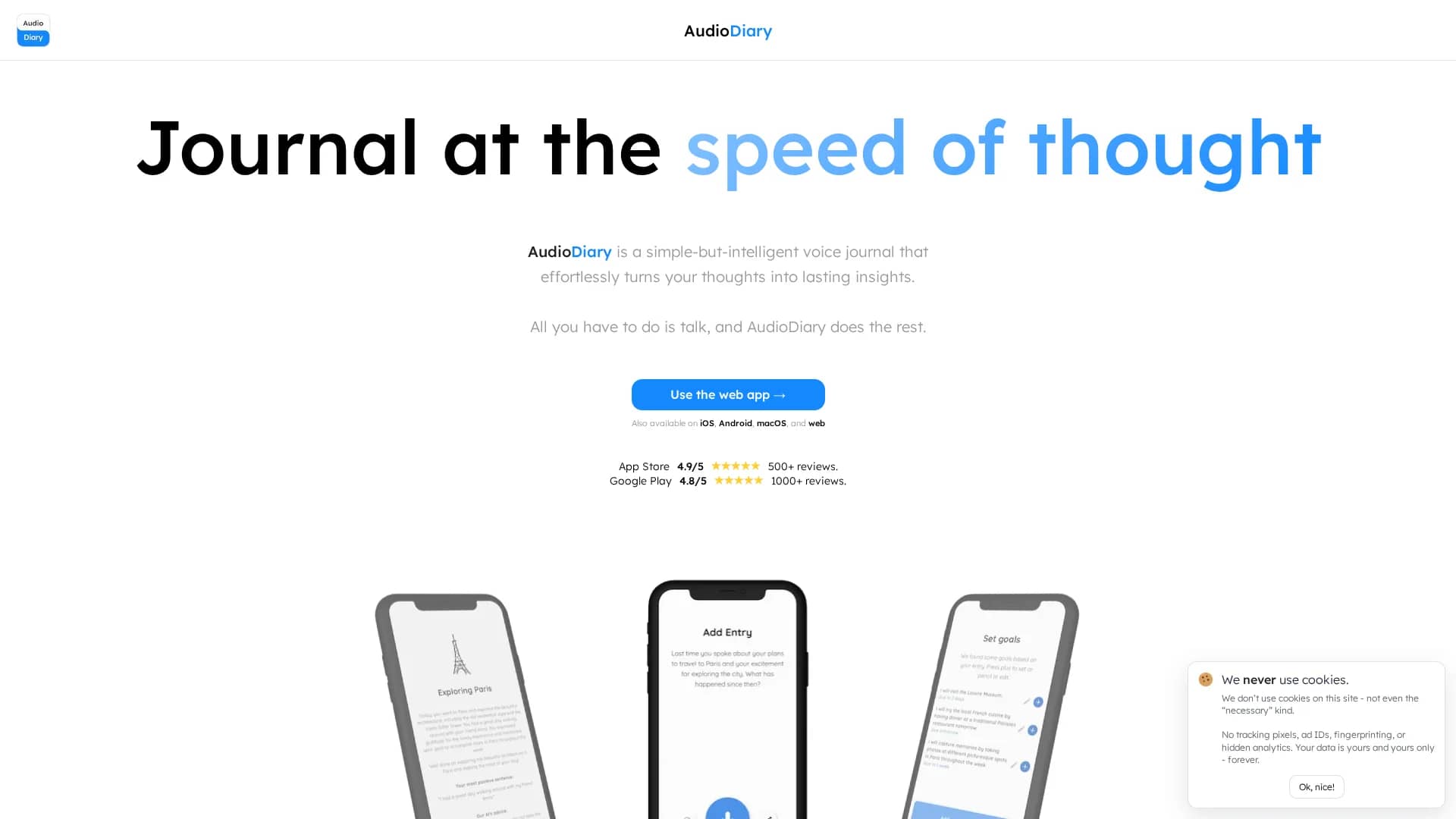 audio-diary homepage