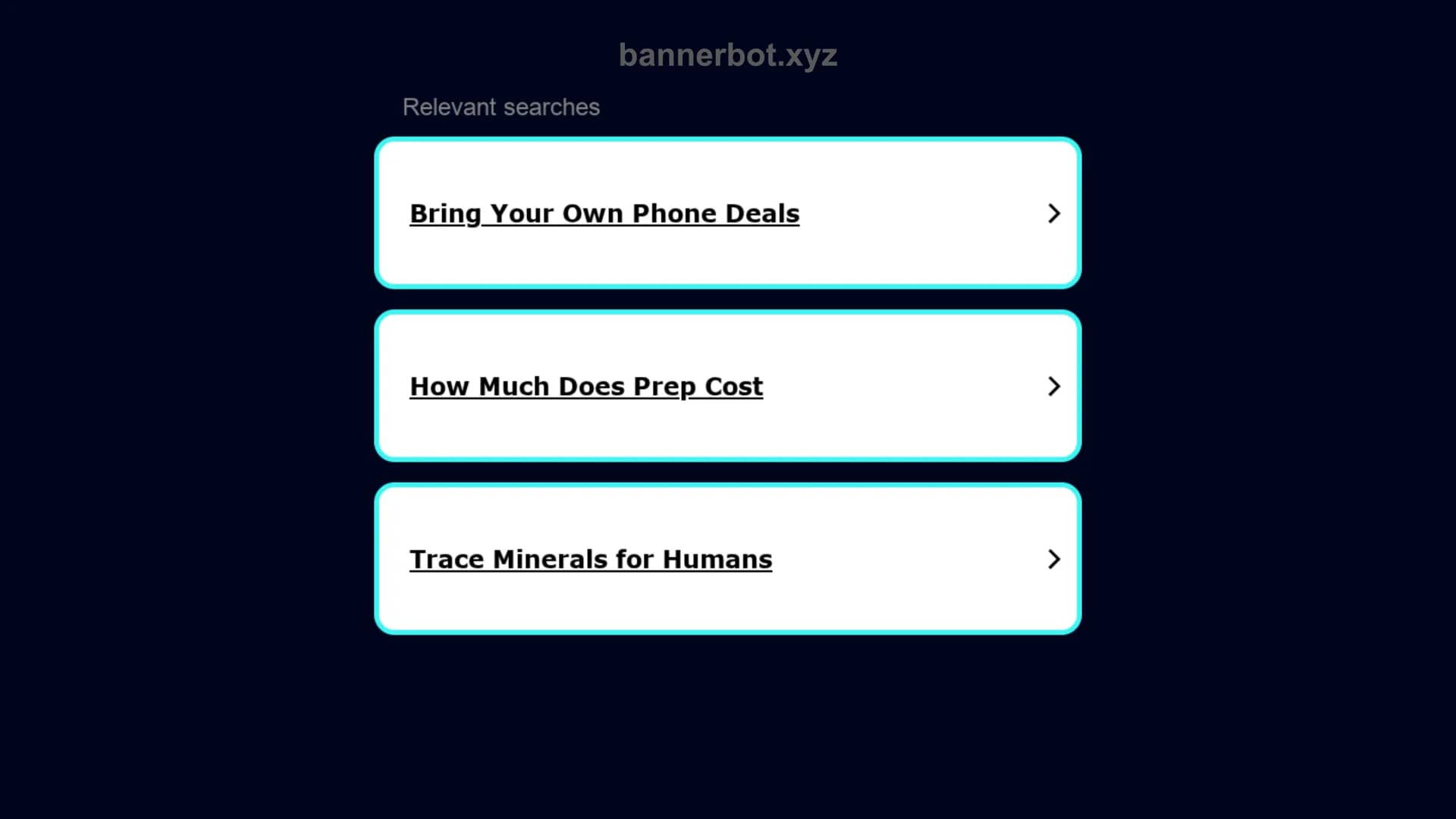 bannerbot homepage