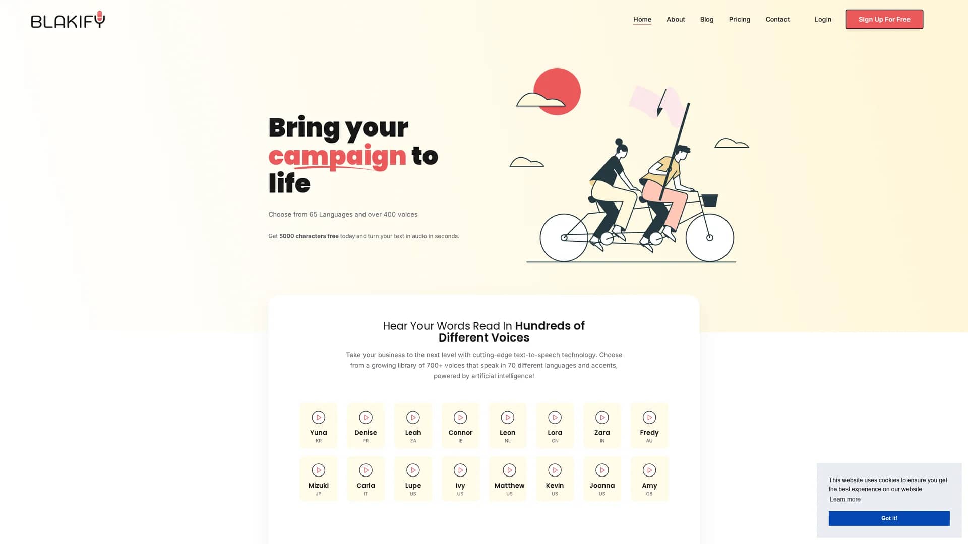 blakify homepage