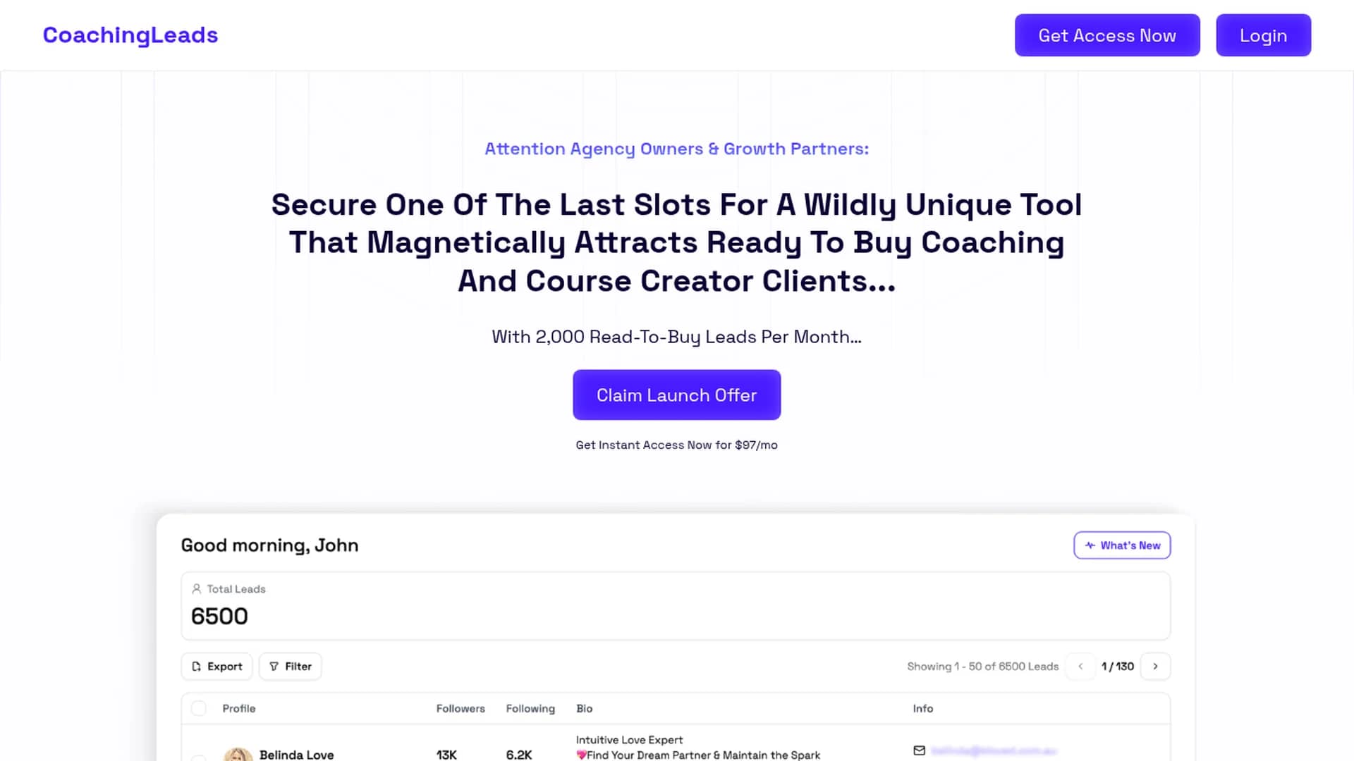 coachingleads-io homepage