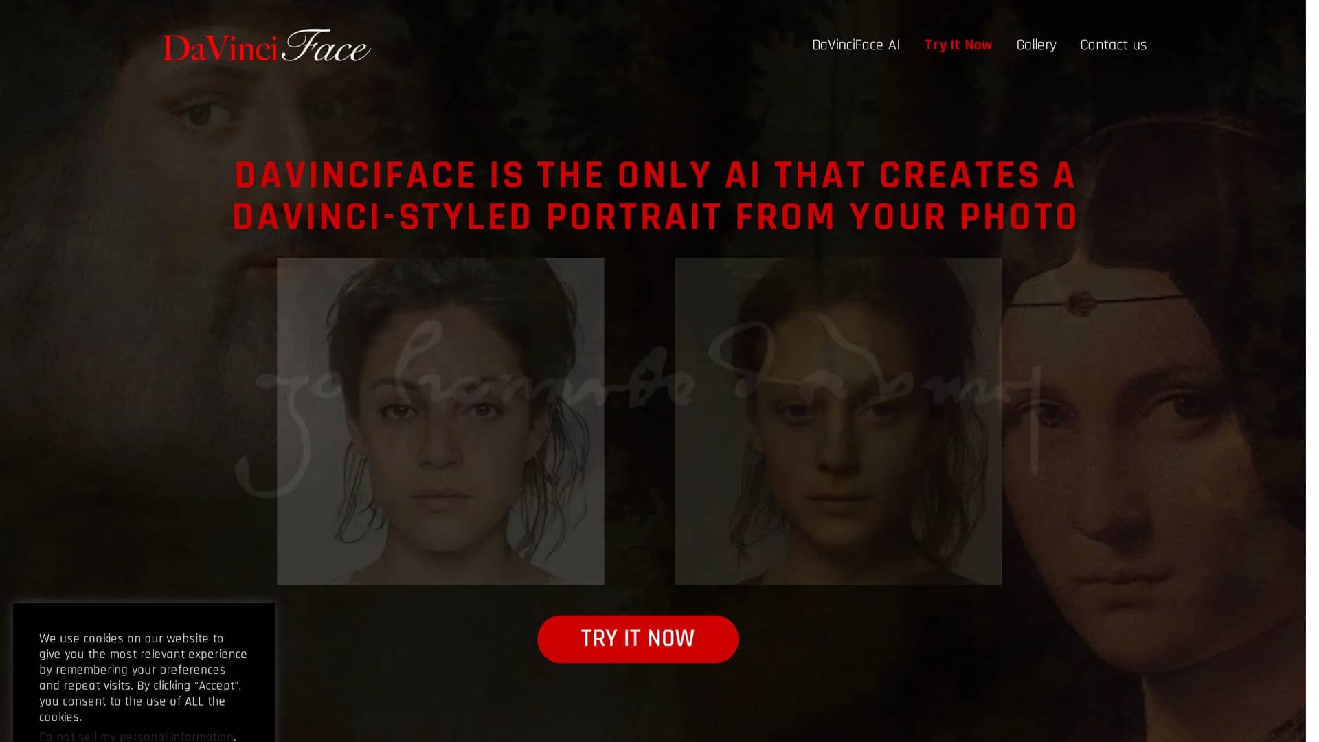 davinciface homepage