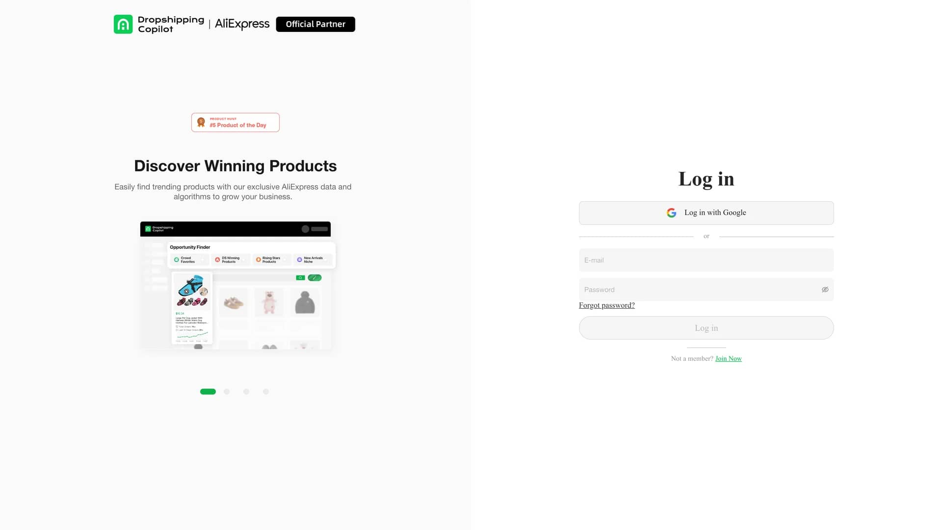 dropshipping-copilot homepage