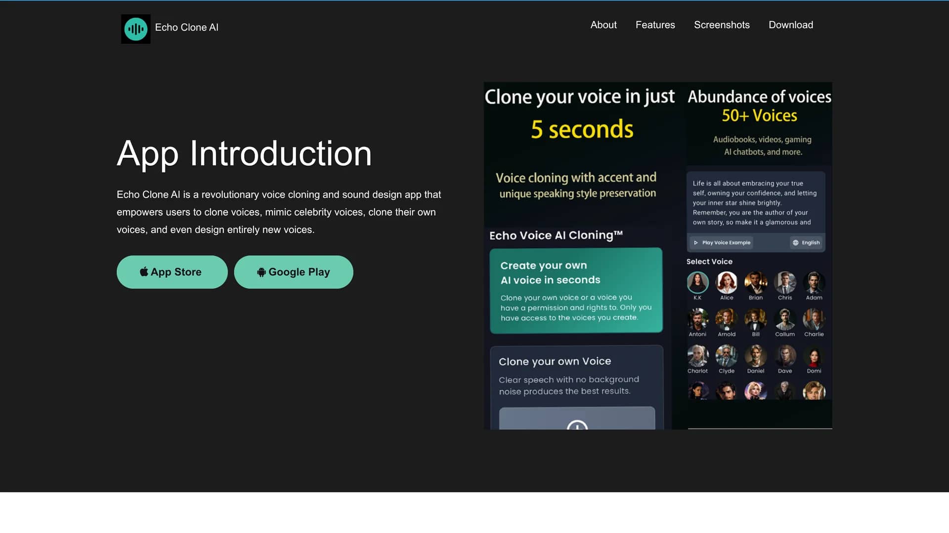 echovoiceai homepage