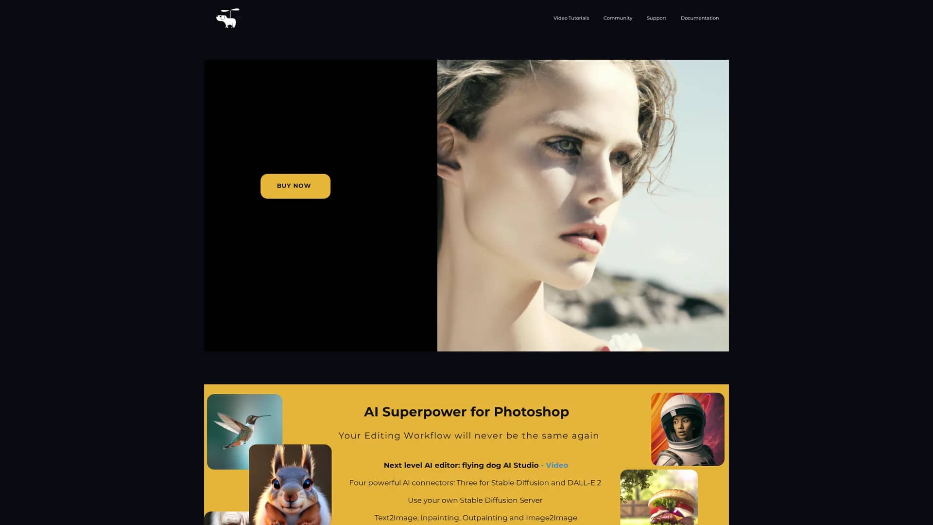 flying-dog homepage