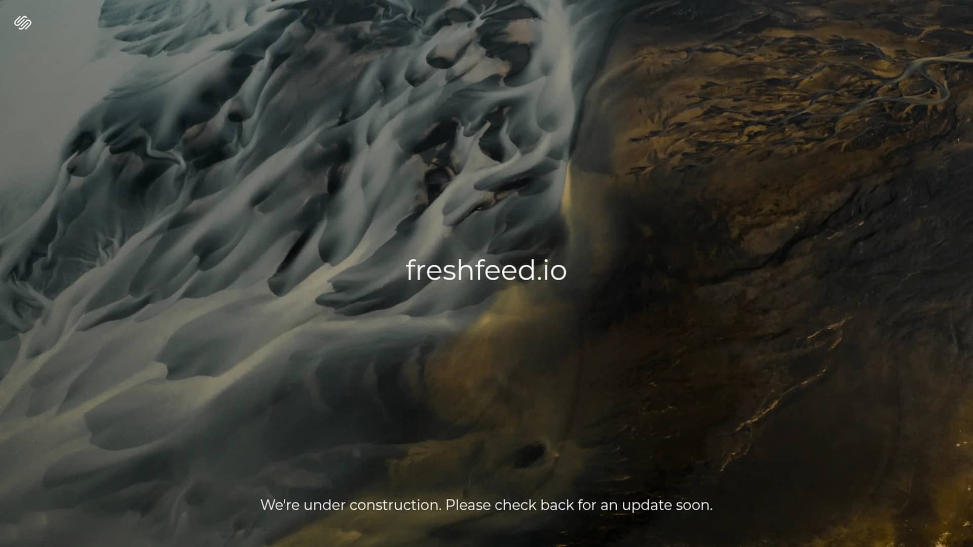 freshfeed homepage