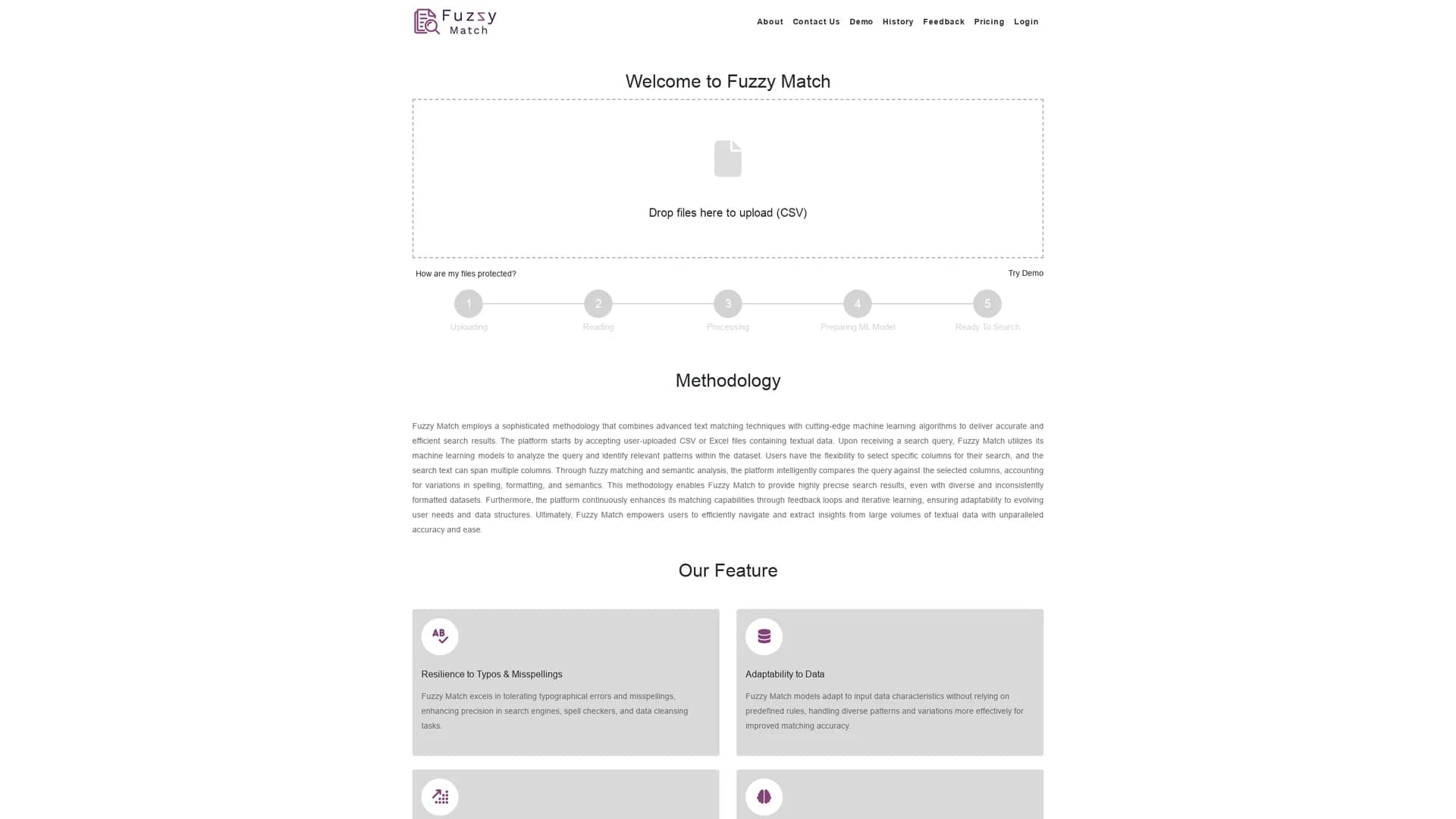 fuzzy-match homepage