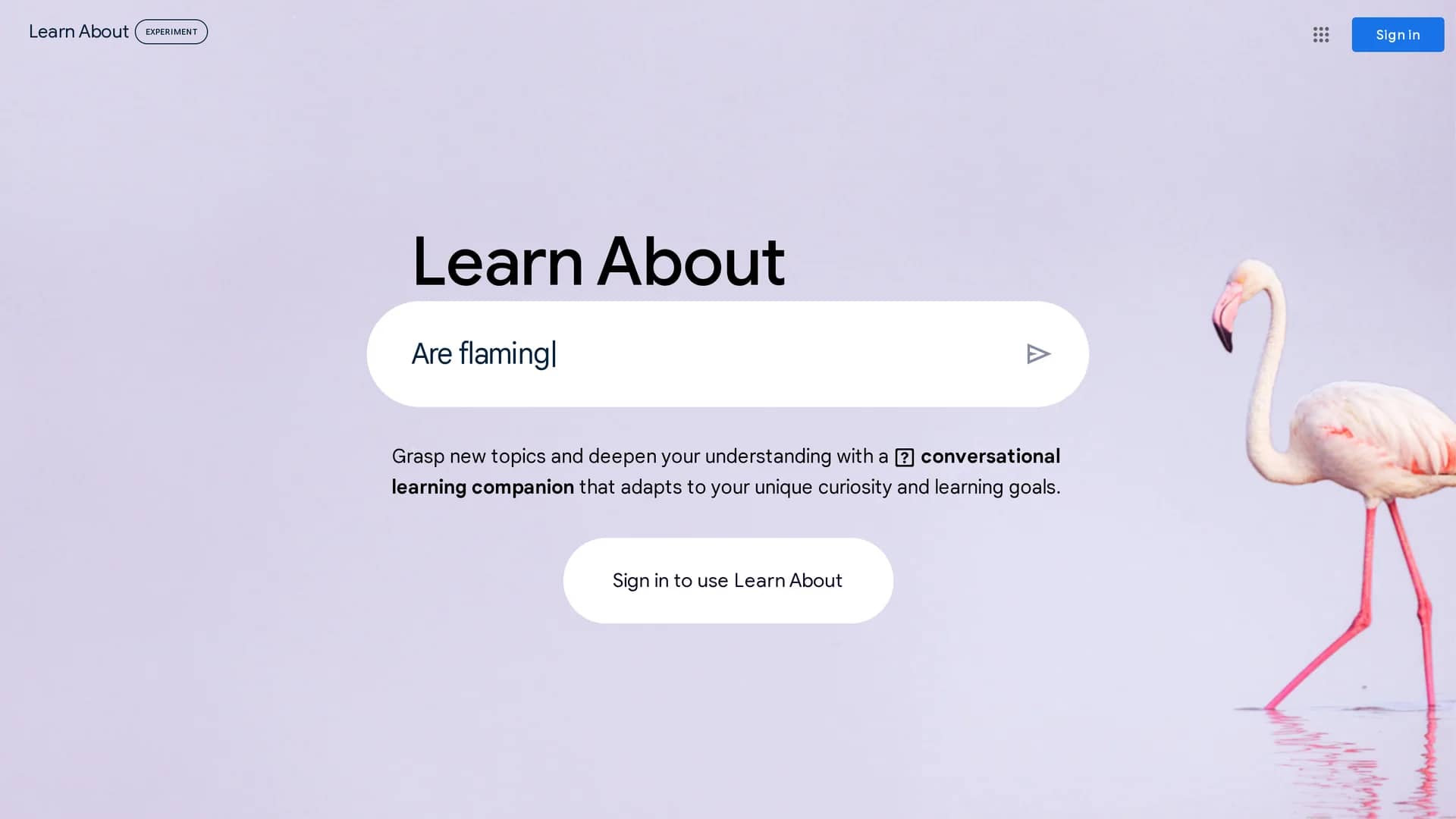 google-s-learn-about homepage