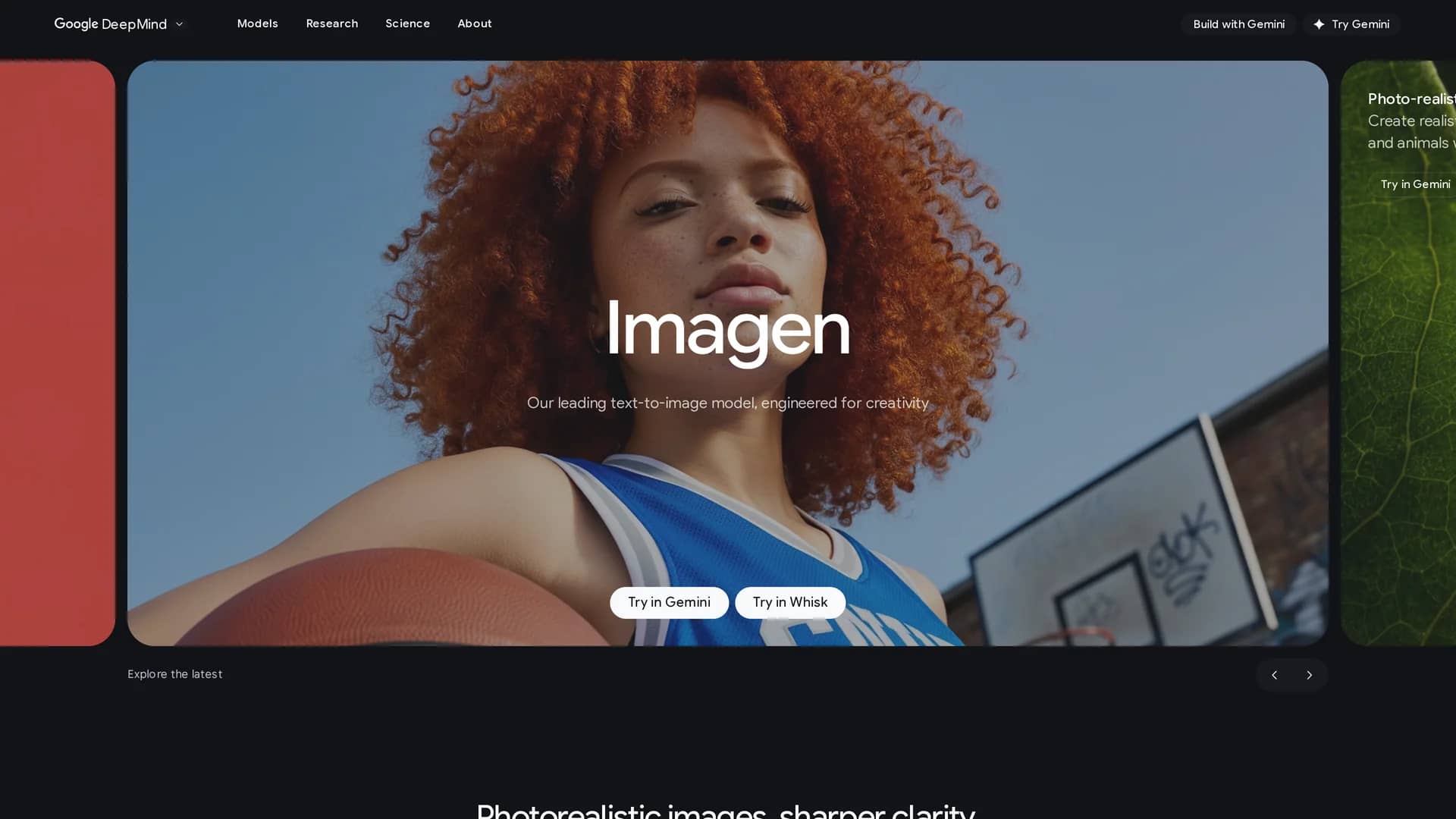 imagen homepage