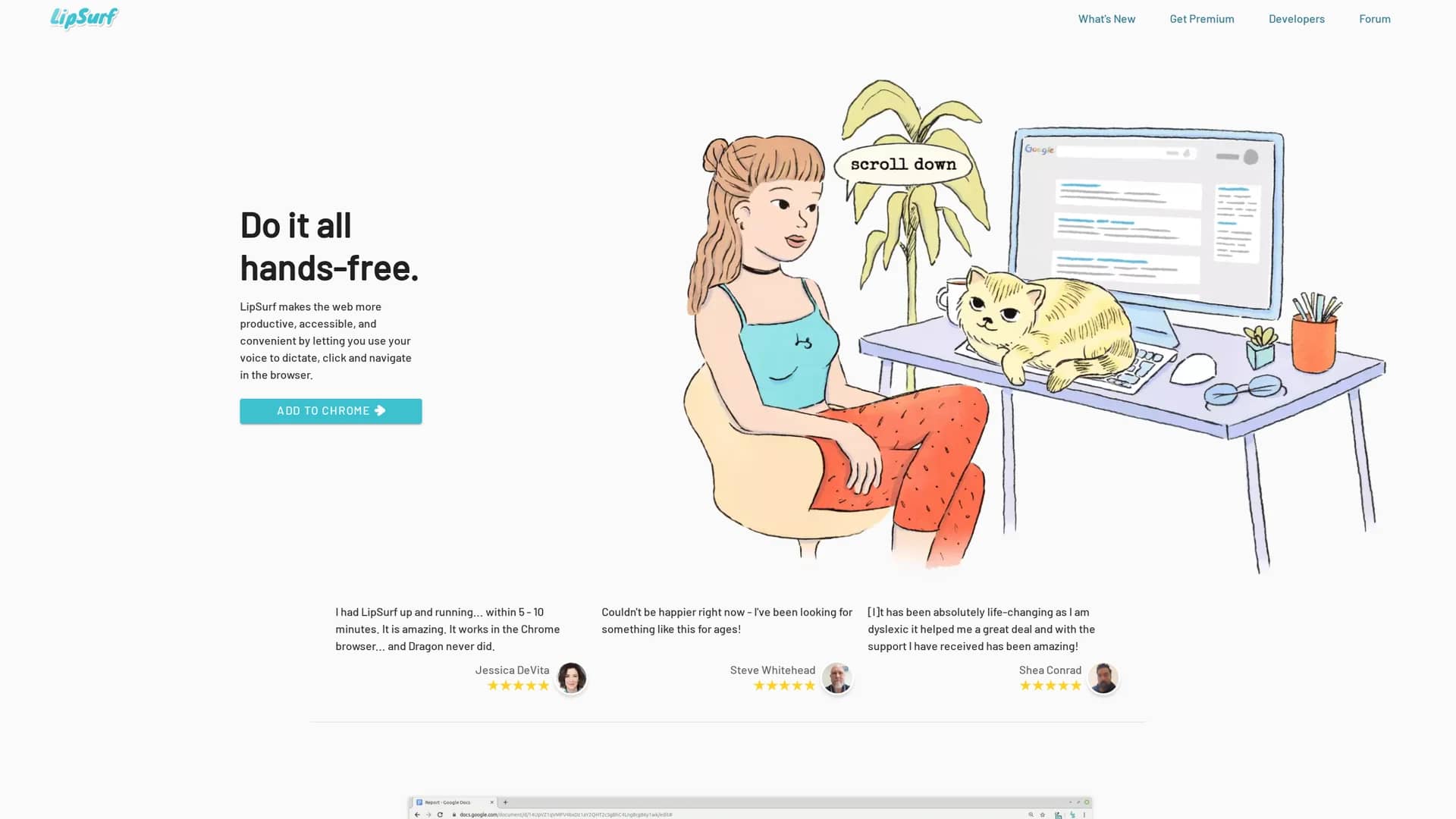 lipsurf homepage