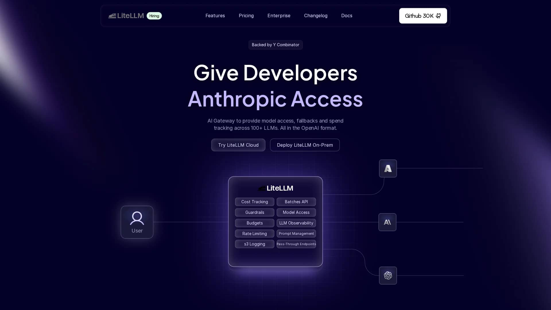litellm homepage